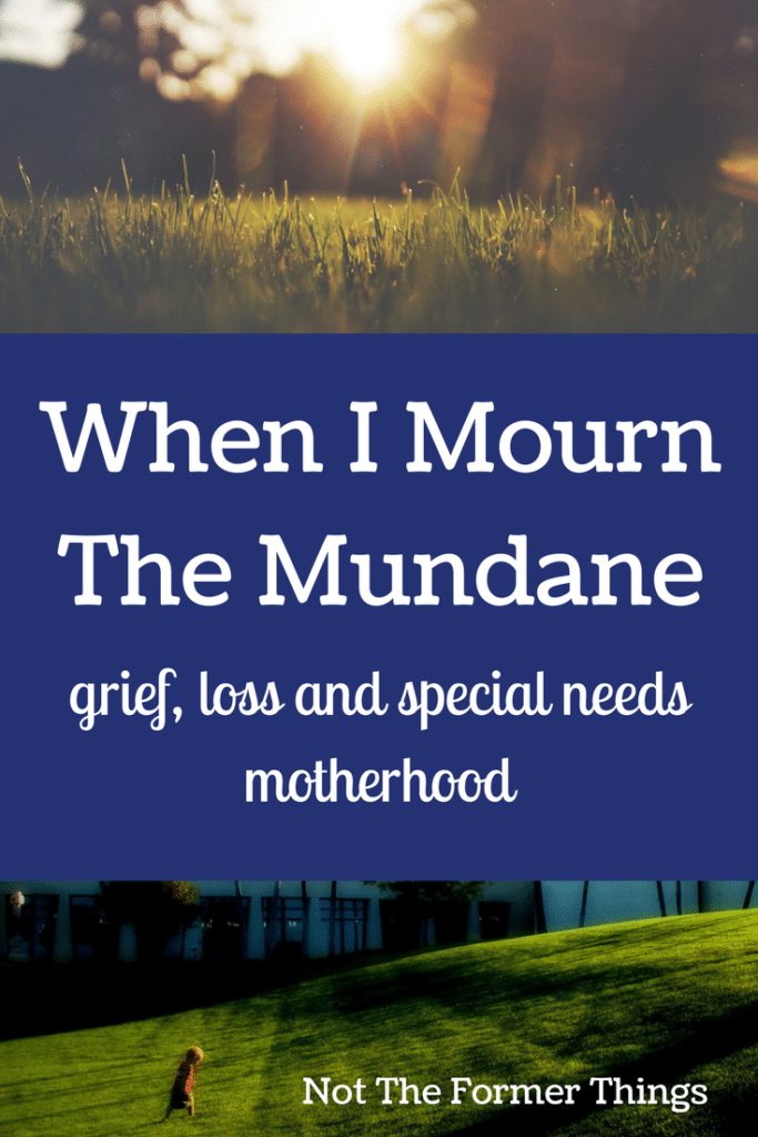 When I Mourn The Mundane: Grief, Loss and Special Needs Motherhood