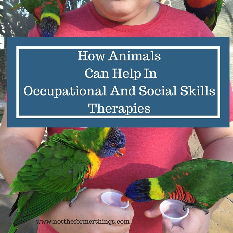 How Animals Can Help In Occupational And Social Skills Therapies
