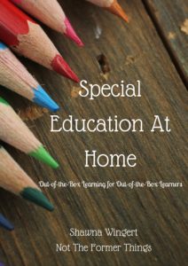 Special Education at Home (2)