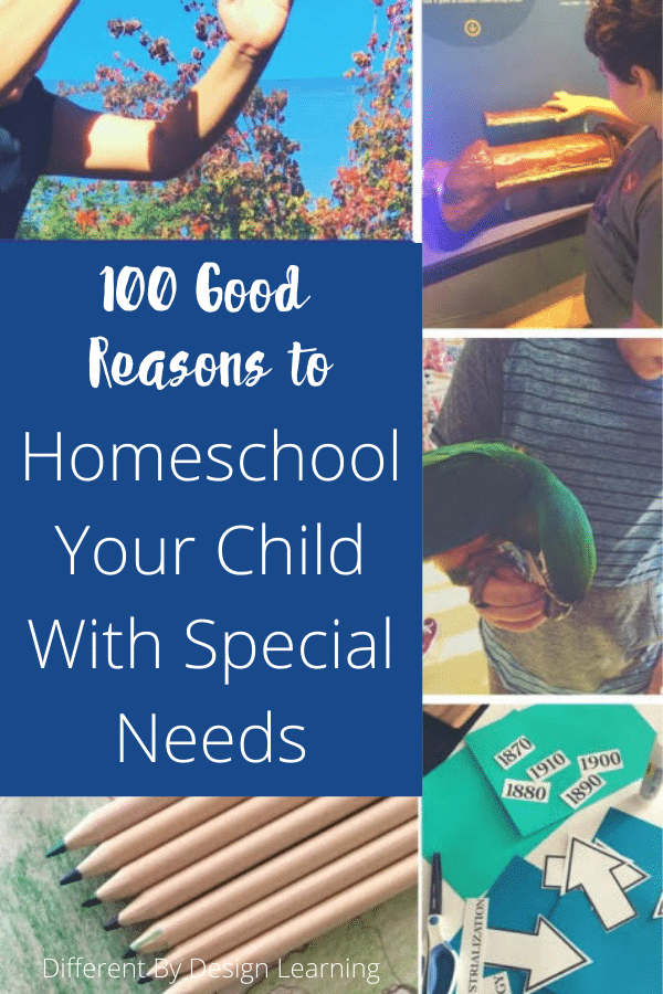 100 Good Reasons To Homeschool Your Child With Special Needs