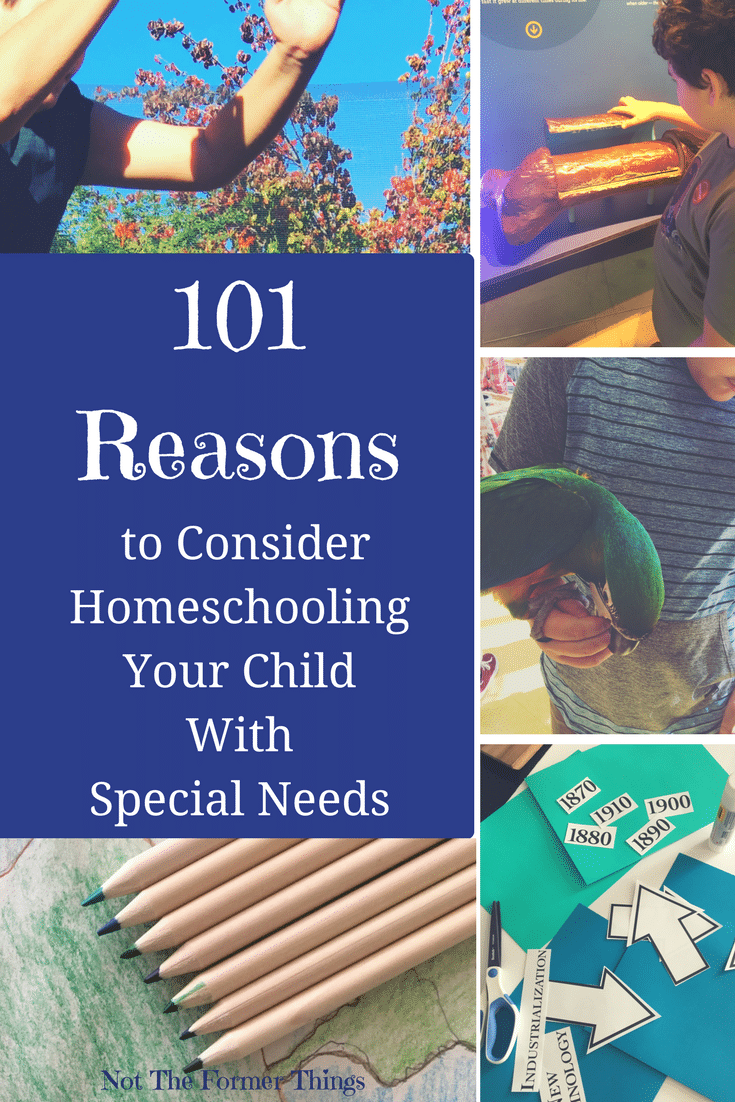 Homeschooling With Special Needs - Different By Design Learning
