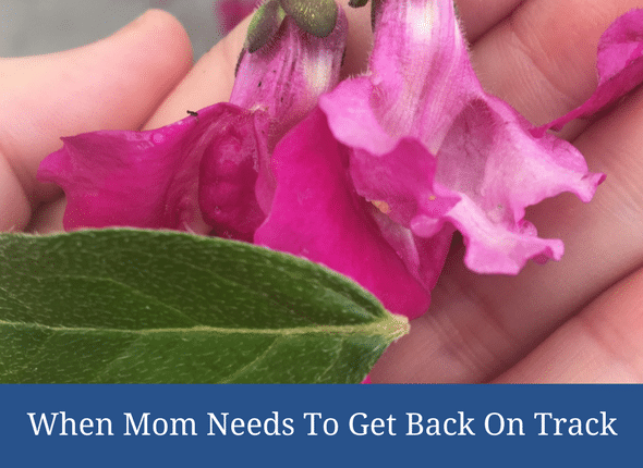 When Mom Needs To Get Back On Track #motherhood #motherhoodtips #homeschoolmom