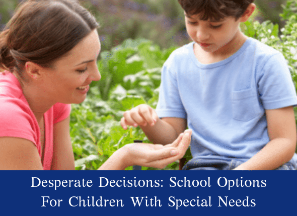 Desperate Decisions: School Options For Children With Special Needs