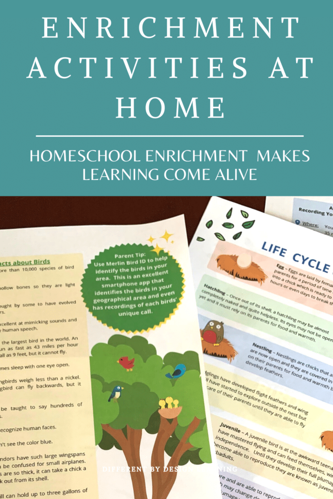 homeschool enrichment program
