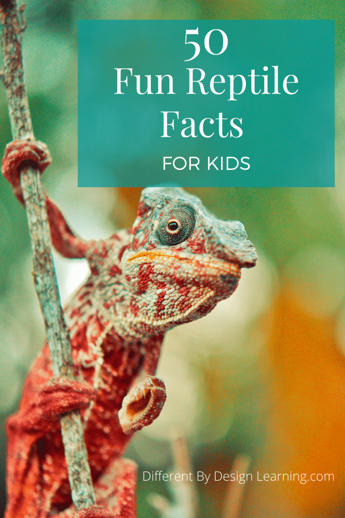 50 Fun Reptile Facts Your Kids Will Love
