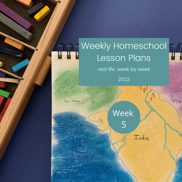 Real Life Homeschool Lesson Plans: Week 5