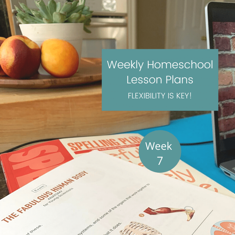 Why Flexibility Is So Important In Homeschool Lesson Plans (week 7 recap)