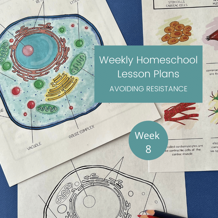 Avoiding Resistance In An Interest-Led Homeschool (week 8 lesson plans and recap)