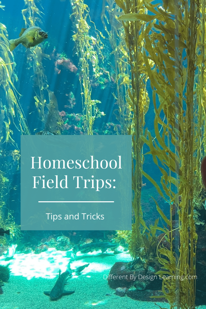 Tips and Tricks for homeschool field trips