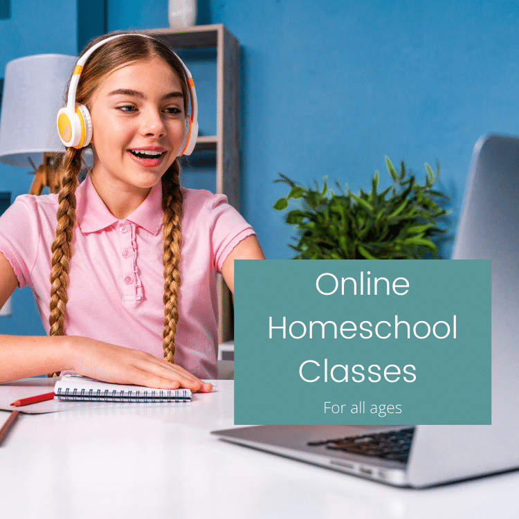 Online Homeschool Classes For All Ages With Allschool