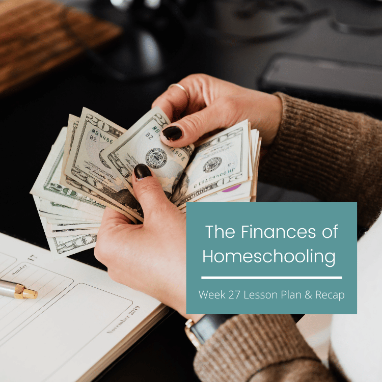 The Finances Of Homeschooling Children With Additional Needs {week 27 lesson plan recap}