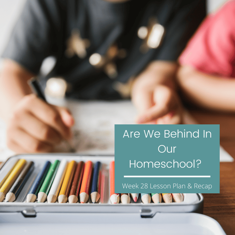 Are We Behind In Our Homeschool? {week 28 lesson plans and recap}