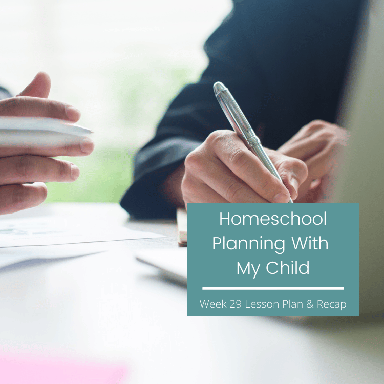 Homeschool Planning With My Child {week 29 lesson plans and recap}