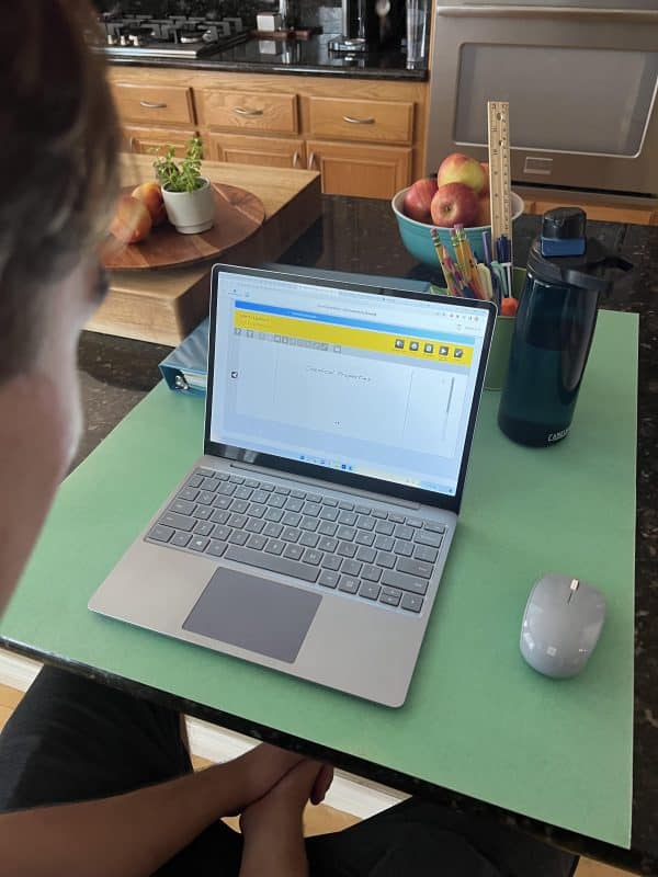 Online High School Science For Your Homeschool With Edison Learning ...