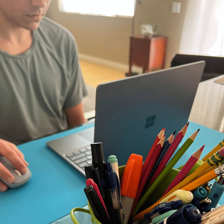An Excellent Online Homeschool Program Changes Everything