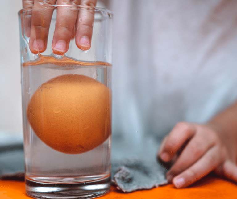 homeschool science experiment